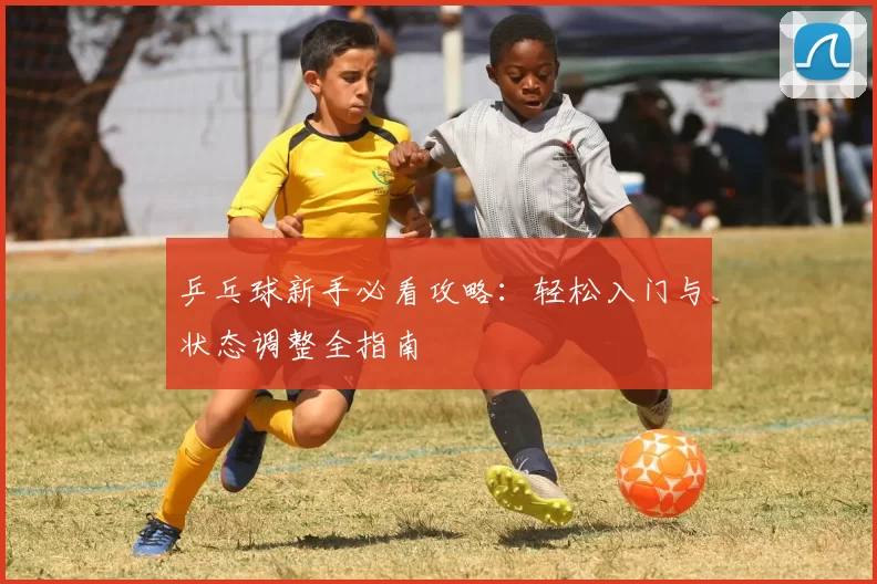 乒乓球新手必看攻略：轻松入门与状态调整全指南
