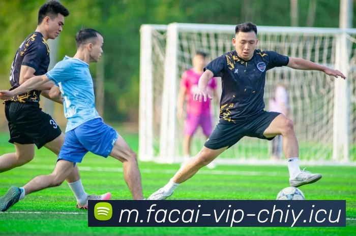 乐鱼体育注册品牌故事